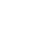 100% Authentic